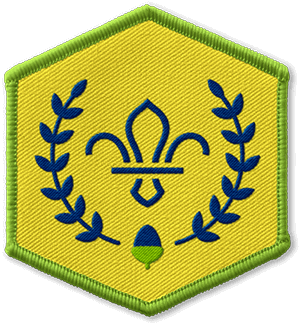 chief-scout-s-acorn-awardV2